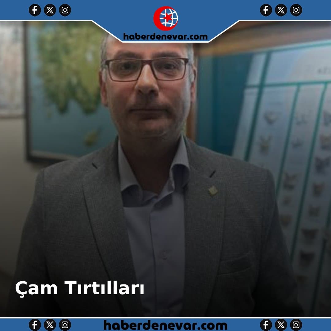 Çam Kese Tırtılları Tehlikeli