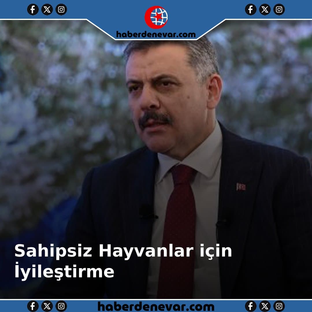 Çiftçi: Sahipsiz Hayvanlar için Tavizsiz ve Zaruri İyileştirme